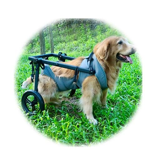 WJJKJH Haustierwagen, Verstellbares Hinterbein, Behindertes Haustier, Hundemobilitätshilfe, Leichte Rehabilitationsbeine, Haustierrollstuhl, Gehwagen, Werkzeuge(X-Large) von WJJKJH