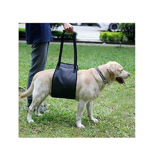 WJJKJH Hebegeschirr for Hunde Mit Befestigungsgurt, Hebeschlinge for Große Hunde Zur Unterstützung Der Hinterbeine, Weiches Reha-Geschirr for Schwache Hinterbeine(Black,32-42KG) von WJJKJH