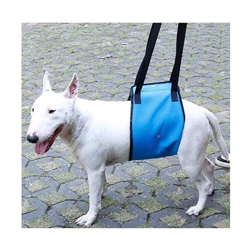 WJJKJH Hebegeschirr for Hunde Mit Befestigungsgurt, Hebeschlinge for Große Hunde Zur Unterstützung Der Hinterbeine, Weiches Reha-Geschirr for Schwache Hinterbeine(Blue,22-32KG) von WJJKJH