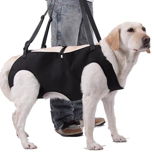 WJJKJH Hundegestützte Rehabilitationsübungen for Ältere, Behinderte Hunde, Bringen Sie Nach Oben Und Helfen Beim Tragen Von Haustierrucksäcken(Black,S) von WJJKJH