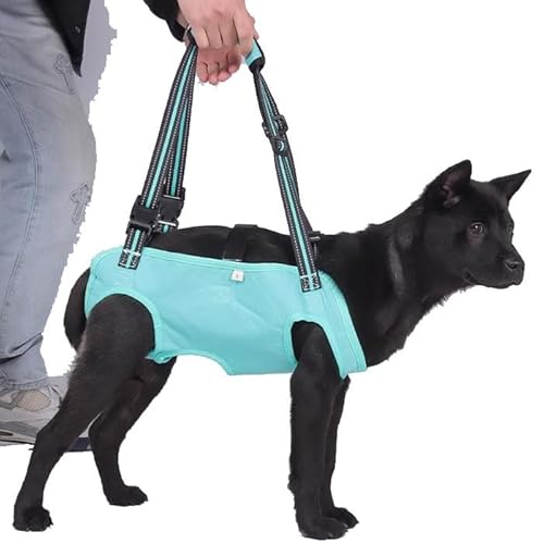 WJJKJH Hundegestützte Rehabilitationsübungen for Ältere, Behinderte Hunde, Bringen Sie Nach Oben Und Helfen Beim Tragen Von Haustierrucksäcken(Blue,S) von WJJKJH