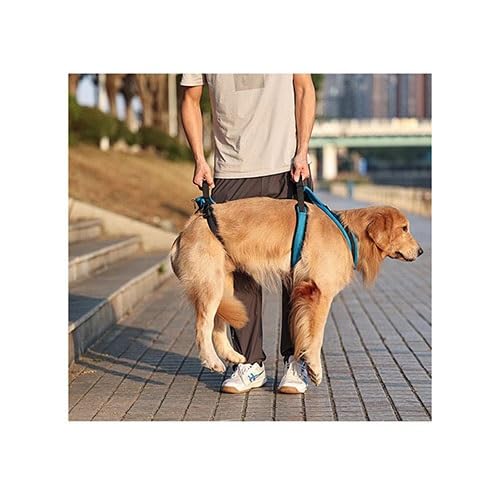 WJJKJH Hundehebegeschirr, Ganzkörper-Stützschlinge Mit Griff Und Schulterschlinge, Verstellbares Hundestützgeschirr Zur Unterstützung Der Hinterbeine(S) von WJJKJH