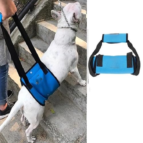 WJJKJH Hundehebegeschirr, Hundetragetuch for Große Hunde, Tragbares Hundetragetuch for Die Hinterbeine, Verstellbares Hüftstützgeschirr for Schwache Hinterbeine(Blue,3-10KG) von WJJKJH