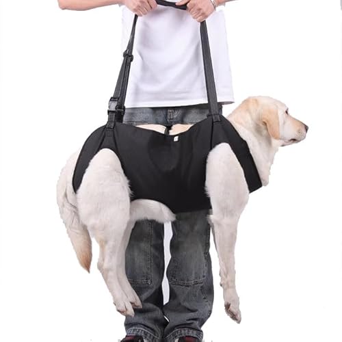 WJJKJH Hundeliftgeschirr, Haustier-Unterstützung, Rehabilitationsschlinge, Gepolsterte, Atmungsaktive Gurte for Alte, Behinderte Gelenkverletzungen, Arthritis, Hundespaziergang(Black,X-Large) von WJJKJH