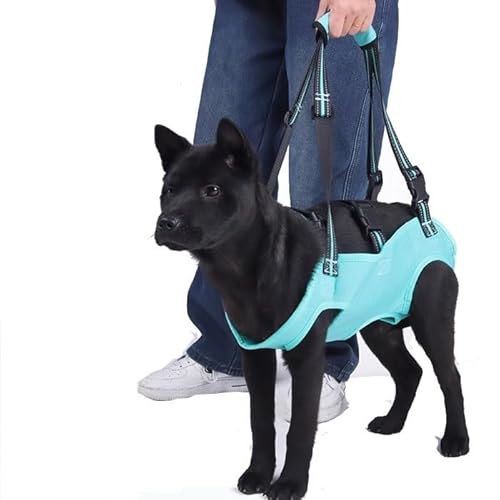 WJJKJH Hundeliftgeschirr, Haustier-Unterstützung, Rehabilitationsschlinge, Gepolsterte, Atmungsaktive Gurte for Alte, Behinderte Gelenkverletzungen, Arthritis, Hundespaziergang(Blue,M) von WJJKJH