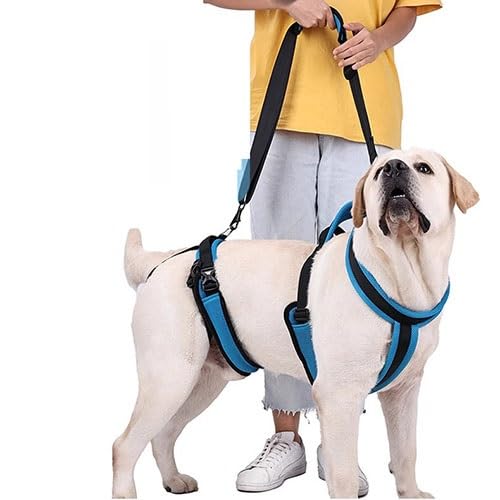 WJJKJH Hundeliftgeschirr, Hundeschutzausrüstung, Zusätzliche Haustierleine, Unterstützung for Ältere Hunde, Schlingenheber, Behinderter Hundespaziergang, Hilfsgurt(Large) von WJJKJH