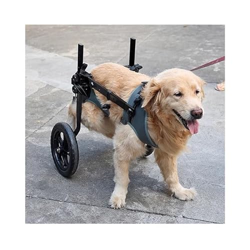WJJKJH Hunderollstuhl for Hinterbeine, Gelähmte Haustiere, Scooter for Behinderte Hunde, Hinterbein-Unterstützung, Katzen-Haustierhalterung(Large) von WJJKJH