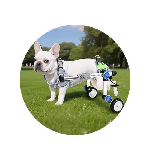 WJJKJH Hunderollstuhl for Hinterbeine, Haustierlift, Verstellbarer Hinterbein-Hunderollstuhl, Hundewagen Mit Rädern for Behinderte Hinterbeine(M) von WJJKJH