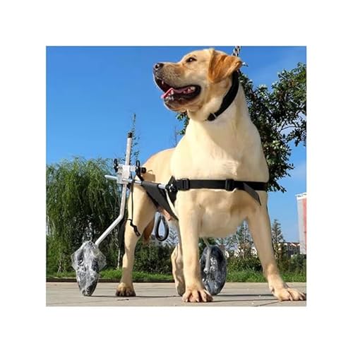 WJJKJH Hunderollstuhl for Hinterbeine, Hunderollstuhl for Kleine Hunde, Verstellbarer Haustierwagen Mit Rädern, Hunderollstühle for Behinderte Hinterbeine(3XL) von WJJKJH