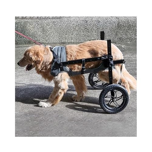 WJJKJH Hunderollstuhl for Hinterbeine, Hunderollstuhl for Kleine Hunde, Verstellbarer Haustierwagen Mit Rädern, Hunderollstühle for Behinderte Hinterbeine(M) von WJJKJH