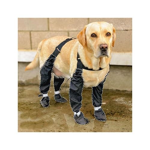 WJJKJH Hundestiefel Mit Hosenträgern, Regenstiefel for Große Hunde, wasserdichte Winterstiefel-Schneehose for Hunde, Leggings-Schuhe Mit Pfotenschutz(S) von WJJKJH