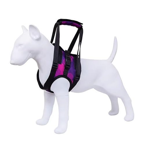 WJJKJH Hundetragetuch for Große Hunde, Hinterbeinstütze, Hebegeschirr for Behinderte Hunde, Verstellbares Hundetragetuch Mit Polsterung, Hilft Bei Der Genesung Von Arthritis(B,Large) von WJJKJH