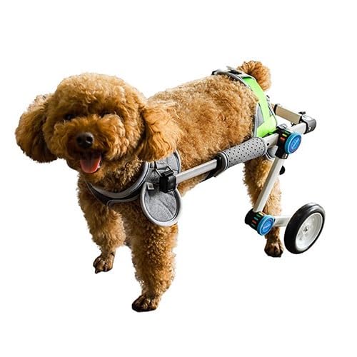WJJKJH Rollstuhl for Hunde, Verstellbarer Hunderollstuhl for Die Hinterbeine Mit Hundeleine, Behinderte Hinterbeine, Stabiler Gehwagen(XS) von WJJKJH