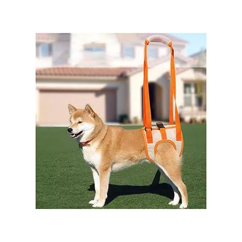 WJJKJH Verstellbarer Hundegurt for Die Hinterbeine, Hüftstützgürtel, Haustierzubehör for Hundehilfe Und Bänderrehabilitation, Hundeliftgeschirr(Large) von WJJKJH