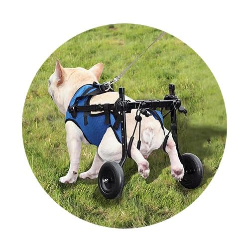 WJJKJH Verstellbarer Hunderollstuhl for Die Hinterbeine – Mobilitätshilfewagen Mit Hüftstütze for Kleine Hunde, Haustierrollstuhl for Behinderte/Hinterbeinlähmung(S) von WJJKJH