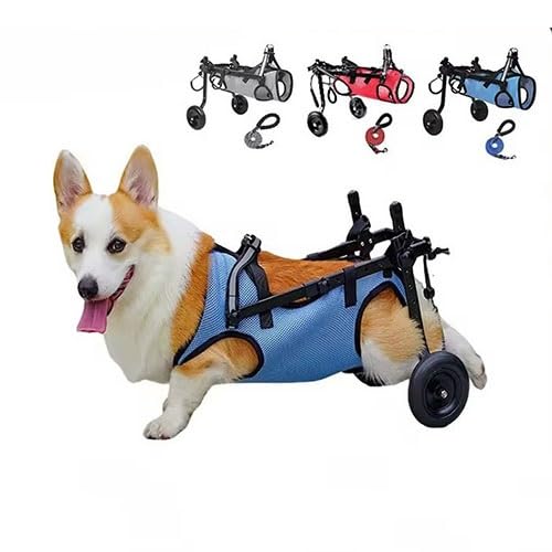 WJJKJH Verstellbarer Hundewagen Mit 2 Rädern, Stuhl for Kleine Und Mittelgroße Hunde, Mobilitätshilfe for Die Hinterbeine, Leichte Rehabilitationsrollstühle, Gehhilfen(Red,M) von WJJKJH