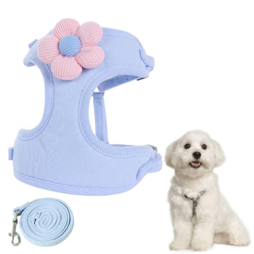 WJRQD Katzengeschirr mit Leine, Ausbruchsicher, Verstellbar, Katzenweste, für Katzen/Welpen, Blau, Gestreift, S/M, Medium WJRQD Katzengeschirr mit Leine, Ausbruchsicher, Verstellbar, Katzenweste, für Katzen/Welpen, Blau, Gestreift, S/M, Medium von WJRQD