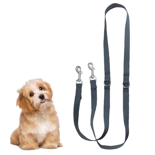 WJRQD Premium Nylon Dog Lead 1.77 m, Multifunktionsleine verstellbar für alle Hunde, robuste Hundeleine zum Trainieren und Gassi gehen WJRQD Premium Nylon Dog Lead 1.77 m, Multifunktionsleine verstellbar für alle Hunde, robuste Hundeleine zum Trainieren und Gassi gehen von WJRQD