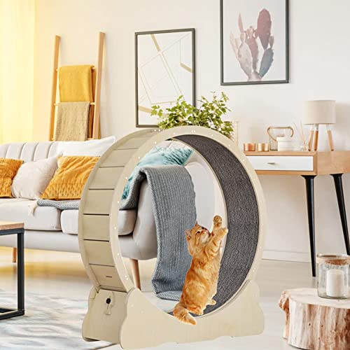 39,3" großes Katzenlaufrad mit Teppichboden, Katzenlaufband, Katzenübungsrad für Hauskatzen, Fitness-Gerät zur Gewichtsreduktion, Katzensportspielzeug für EIN längeres Leben der Katze 39,3" großes Katzenlaufrad mit Teppichboden, Katzenlaufband, Katzenübungsrad für Hauskatzen, Fitness-Gerät zur Gewichtsreduktion, Katzensportspielzeug für EIN längeres Leben der Katze von WJYCGFKJ