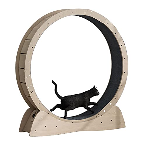 Cat Balance Wheel Cat Treadmill with No-Gap Design, Wheel for Home Cats, Safety Clamp Protection, Quiet Cat Wheel Device for Cats Cat Balance Wheel Cat Treadmill with No-Gap Design, Wheel for Home Cats, Safety Clamp Protection, Quiet Cat Wheel Device for Cats von WJYCGFKJ