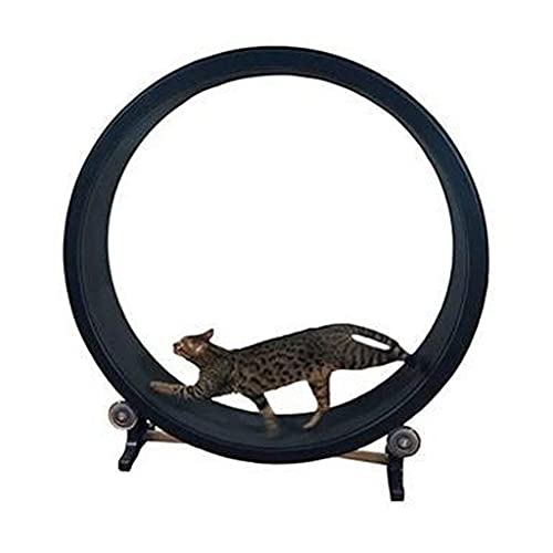 Cat Exercise Wheel Katzenlaufband-Laufgerät für Ihre energiegeladene Katze von WJYCGFKJ