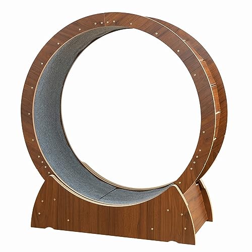 Cat Wheel Übungslaufband, Laufrad für Katzen, geräuschlos und verschleißfest, Spielzeug für kleine/mittlere/große Katzen, als Katzenklettergerüst/Katzenkratzer Cat Wheel Übungslaufband, Laufrad für Katzen, geräuschlos und verschleißfest, Spielzeug für kleine/mittlere/große Katzen, als Katzenklettergerüst/Katzenkratzer von WJYCGFKJ