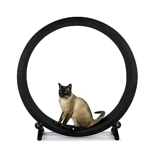 Haustier-Katzenlaufrad, Katzenlaufband mit Teppichboden, hölzernes Klettergerüst, Möbel, stummgeschalteter Trainer, Katzenspielspielzeug, Übungsrad, geräuschlose Rolle, Heimtierbedarf Haustier-Katzenlaufrad, Katzenlaufband mit Teppichboden, hölzernes Klettergerüst, Möbel, stummgeschalteter Trainer, Katzenspielspielzeug, Übungsrad, geräuschlose Rolle, Heimtierbedarf von WJYCGFKJ