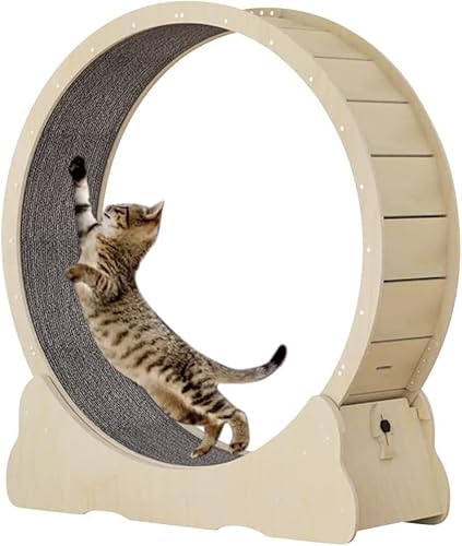 Katzen-Laufrad, Katzen-Übungsrad, Laufband Mit Teppichboden, Fitness-Gerät Zur Gewichtsabnahme, Natürliche Holzfarbe (XL) von WJYCGFKJ