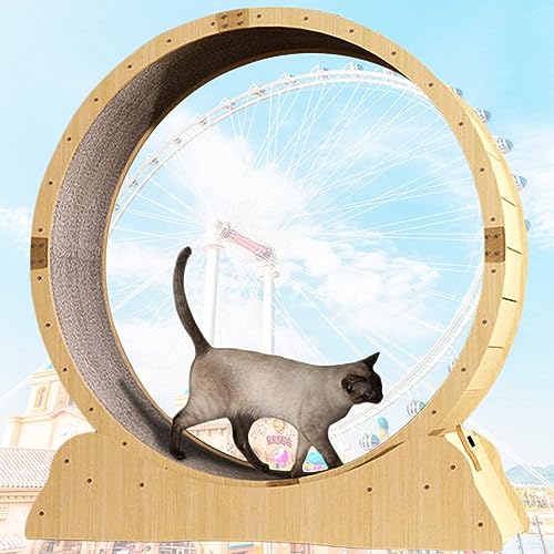Katzen-Übungsrad, Katzen-Laufrad-Laufband mit Teppichboden, Fitness-Gerät zur Gewichtsabnahme, Katzen-Sportspielzeug für EIN längeres Leben der Katze Katzen-Übungsrad, Katzen-Laufrad-Laufband mit Teppichboden, Fitness-Gerät zur Gewichtsabnahme, Katzen-Sportspielzeug für EIN längeres Leben der Katze von WJYCGFKJ