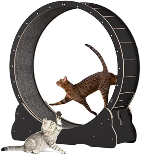 Katzenlaufband, Katzen-Übungsrad für Hauskatzen, 39,3 Zoll großes Katzenlaufrad mit Teppichboden, Fitness-Gerät zur Gewichtsreduktion, Katzensportspielzeug für EIN längeres Leben der Katze von WJYCGFKJ
