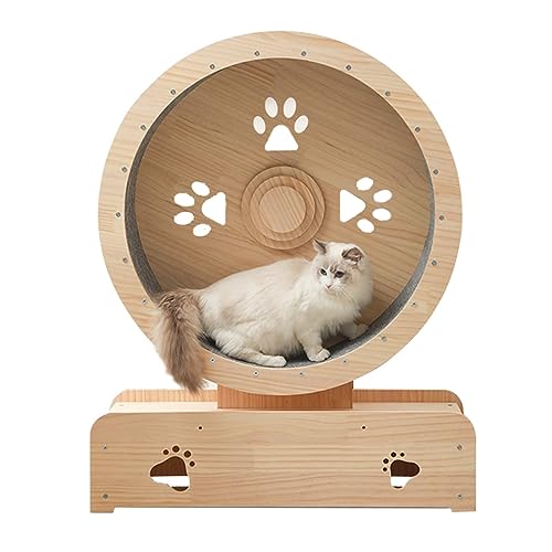Katzenlaufrad, Katzen-Übungsrad, leises Laufband für Haustiere, Katzenlaufrad mit Übungs-Gewichtsverlustgerät, geeignet für Katzen-Fitness, Katzenlaufband Katzenlaufrad, Katzen-Übungsrad, leises Laufband für Haustiere, Katzenlaufrad mit Übungs-Gewichtsverlustgerät, geeignet für Katzen-Fitness, Katzenlaufband von WJYCGFKJ