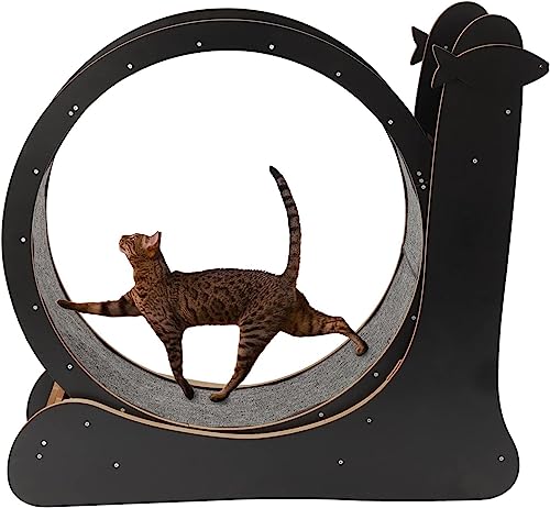 Katzenlaufrad, Katzenlaufband, Haustierspielzeug, Runde Laufräder, Katzenübungsrad für Hauskatzen mit Teppichboden, Zum Abnehmen Von Haustieren Und Zum Trainieren Der Katze von WJYCGFKJ