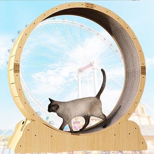 Katzenlaufrad-Laufband mit Teppichlaufbahn. Katzen-Laufrad, Fitnessgerät Zur Gewichtsreduktion, Katzensportspielzeug für EIN Längeres Leben Der Katze Katzenlaufrad-Laufband mit Teppichlaufbahn. Katzen-Laufrad, Fitnessgerät Zur Gewichtsreduktion, Katzensportspielzeug für EIN Längeres Leben Der Katze von WJYCGFKJ