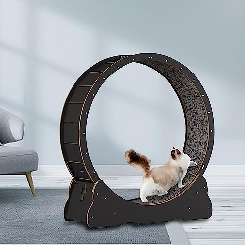 Laufband Für Katzen, Laufband Für Katzen, Laufrad Für Katzen Mit Bremse, Trainingsgerät Für Katzen Im Innenbereich, Einfach Zu Montierendes Laufband Für Katzen Laufband Für Katzen, Laufband Für Katzen, Laufrad Für Katzen Mit Bremse, Trainingsgerät Für Katzen Im Innenbereich, Einfach Zu Montierendes Laufband Für Katzen von WJYCGFKJ