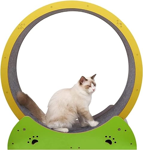 Laufräder für Katzen, Laufband für Katzen, Laufrad für Katzen im Innenbereich, einfach zu montierendes Laufband für Katzen mit Verriegelungsmechanismus, extrem leises Laufrad für Katzen Laufräder für Katzen, Laufband für Katzen, Laufrad für Katzen im Innenbereich, einfach zu montierendes Laufband für Katzen mit Verriegelungsmechanismus, extrem leises Laufrad für Katzen von WJYCGFKJ