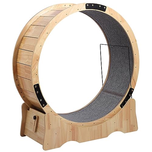 Treadmill for Cats, Running Wheel for Cats, Treadmill with Carpet, Fitness Equipment for Weight Loss, Sports Toy for Cats for Longer Cat Life von WJYCGFKJ