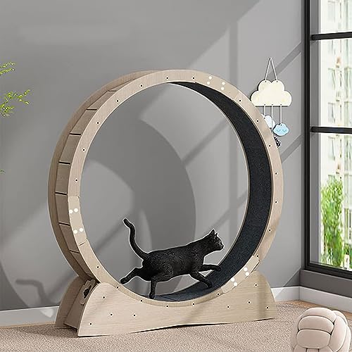 Treadmill with Carpet, Treadmill for Cats, Running Wheel for Cats,Fitness Equipment for Weight Loss, Sports Toy for Cats for Longer Cat Life Treadmill with Carpet, Treadmill for Cats, Running Wheel for Cats,Fitness Equipment for Weight Loss, Sports Toy for Cats for Longer Cat Life von WJYCGFKJ