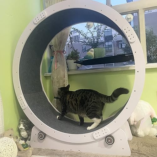 Weißes Sicherheits-Katzenrad für den Innenbereich, Katzenlaufrad, Katzenspielzeug, Katzenlaufrad, leises Katzen-Übungsrad, Laufband – kleines, mittelgroßes und großes Katzenlaufbandspielzeug Weißes Sicherheits-Katzenrad für den Innenbereich, Katzenlaufrad, Katzenspielzeug, Katzenlaufrad, leises Katzen-Übungsrad, Laufband – kleines, mittelgroßes und großes Katzenlaufbandspielzeug von WJYCGFKJ