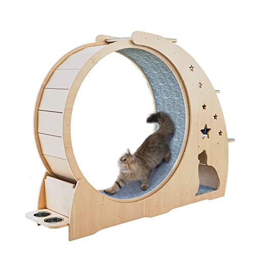 Wheel Cat Running Cat Running Super Quiet Cat Wheel for Cats Running Wheel Cat Wheel Cat Wheel Cat Wheel 95cm Inner Diameter Indoor Cat Sports Toys and Equipment von WJYCGFKJ