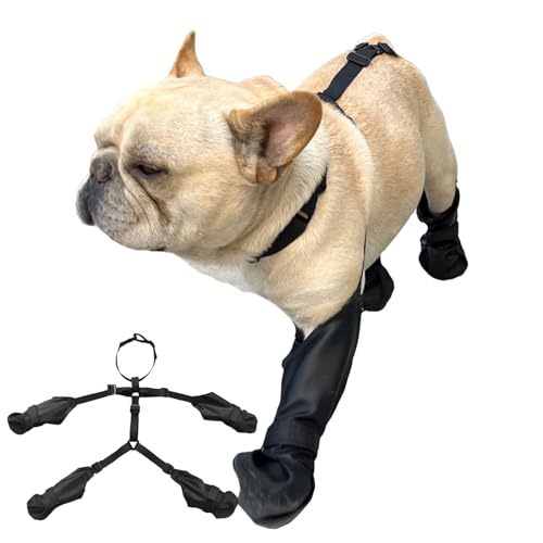 WJnflQN Hundeschuhe | rutschfeste Hundepfoten Beinlinge,Wasserdichter Schmutzabweisender Pfotenschutz Für Alle Größen Outdoor Spaziergänge Wandern Reisen WJnflQN Hundeschuhe | rutschfeste Hundepfoten Beinlinge,Wasserdichter Schmutzabweisender Pfotenschutz Für Alle Größen Outdoor Spaziergänge Wandern Reisen von WJnflQN