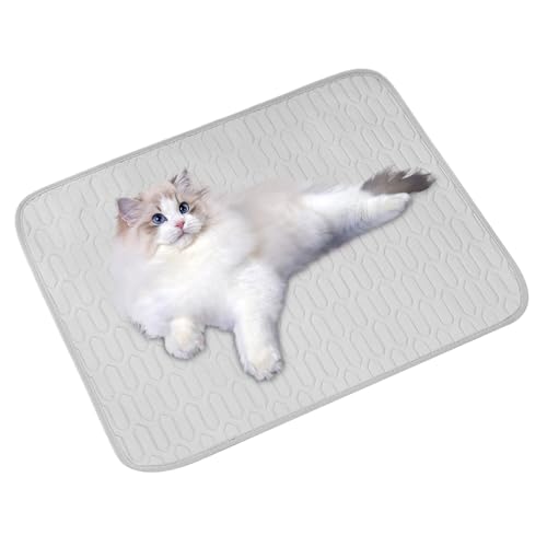 WJnflQN Kühlmatte für Hunde, Kühlung, tragbar, aus Eisseide, Korb für Katzen und Welpen – Haus, Büro, Garten – Komfort für Erwachsene und kleine / mittlere Größe von WJnflQN