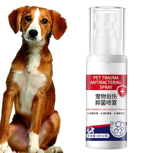 WJnflQN Wundspray Für Hunde - 60ml Wundheilung Sprühflasche,Natürlicher Beruhigender Hautschutz Reizarme Rezeptur Schnellwirkendes Pflegespray Für Junghunde WJnflQN Wundspray Für Hunde - 60ml Wundheilung Sprühflasche,Natürlicher Beruhigender Hautschutz Reizarme Rezeptur Schnellwirkendes Pflegespray Für Junghunde von WJnflQN