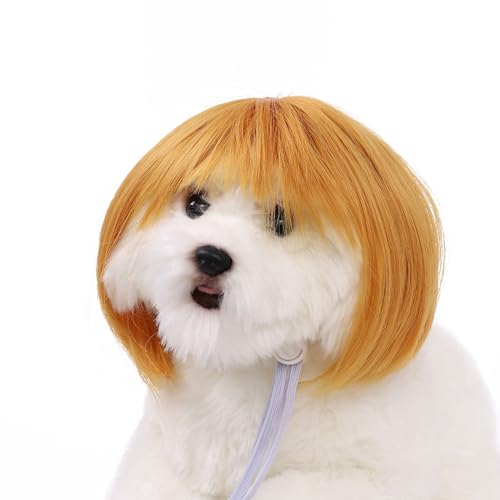 WKabnkn Haustier Haarteil Bob Perücken Ikun Kostüm Hund Perücken Für Kleine Mittelgroße Große Haustier Farbenfrohe Haarstück Für Kleiderparty Kleine Hunde von WKabnkn
