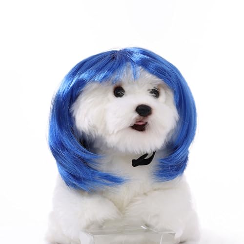 WKabnkn Haustier Haarteil Bob Perücken Ikun Kostüm Hund Perücken Für Kleine Mittelgroße Große Haustier Farbenfrohe Haarstück Für Kleiderparty Kleine Hunde von WKabnkn