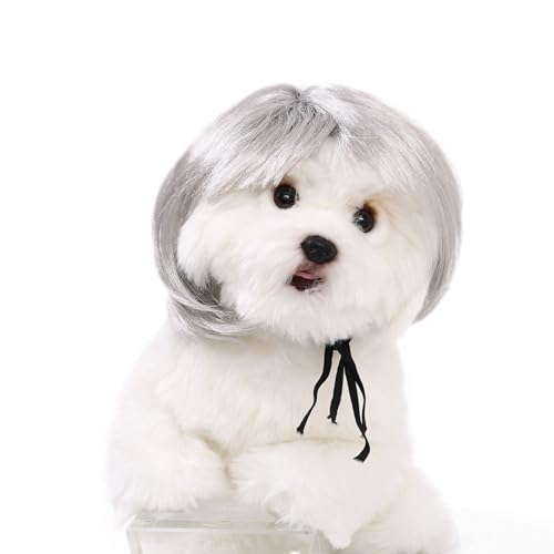 WKabnkn Haustier Haarteil Bob Perücken Ikun Kostüm Hund Perücken Für Kleine Mittelgroße Große Haustier Farbenfrohe Haarstück Für Kleiderparty Kleine Hunde von WKabnkn