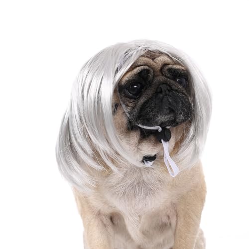 WKabnkn Haustier Haarteil Bob Perücken Ikun Kostüm Hund Perücken Für Kleine Mittelgroße Große Haustier Farbenfrohe Haarstück Für Kleiderparty Kleine Hunde von WKabnkn
