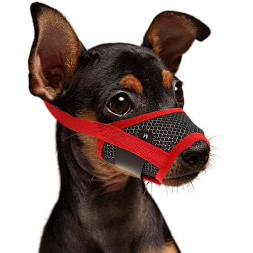 WLLHYF Nylon-Maulkorb Für Hunde, Verstellbare Schlaufe Atmungsaktiv Weich Für Kleine Mittelgroße Hunde, Verhindert Das Beißen, Kauen Und Bellen (Schwarz, M) von WLLHYF