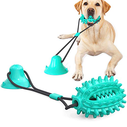 Doppelter Saugnapf Kordelzug Hundespielzeug Molar Stick Für Kleine Mittelgroße Hunde Haustier Multifunktions, Ungiftig Nylon Naturspielzeug Für Haustier Welpen Zahnpflege,Blau Doppelter Saugnapf Kordelzug Hundespielzeug Molar Stick Für Kleine Mittelgroße Hunde Haustier Multifunktions, Ungiftig Nylon Naturspielzeug Für Haustier Welpen Zahnpflege,Blau von WLQWER