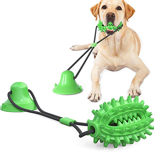 Doppelter Saugnapf Kordelzug Hundespielzeug Molar Stick Für Kleine Mittelgroße Hunde Haustier Multifunktions, Ungiftig Nylon Naturspielzeug Für Haustier Welpen Zahnpflege,Grün Doppelter Saugnapf Kordelzug Hundespielzeug Molar Stick Für Kleine Mittelgroße Hunde Haustier Multifunktions, Ungiftig Nylon Naturspielzeug Für Haustier Welpen Zahnpflege,Grün von WLQWER