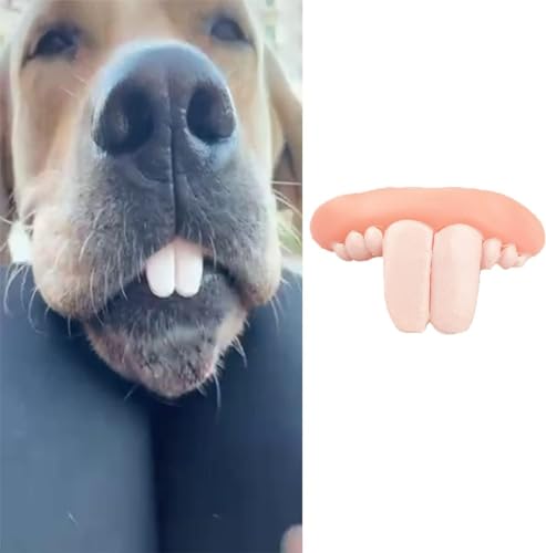 WLngtv 1 x weiße künstliche Zähne für Hunde, Hundespielzeug, lustige Hundezahnspangen, Hundezubehör, künstliche Zahnspangen, Buckzähne, Hunde-Weihnachtskostüm, geeignet für Kauspielzeug, WLngtv 1 x weiße künstliche Zähne für Hunde, Hundespielzeug, lustige Hundezahnspangen, Hundezubehör, künstliche Zahnspangen, Buckzähne, Hunde-Weihnachtskostüm, geeignet für Kauspielzeug, von WLngtv
